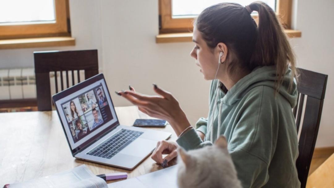 Diagrame de arhitectură site și fluxuri de crawling